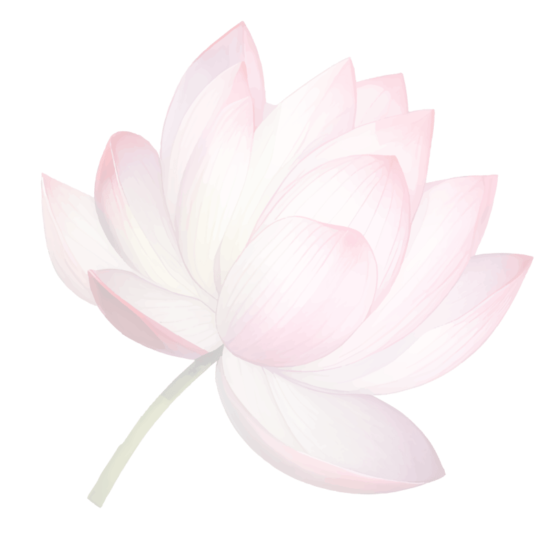 Untitled design (37)